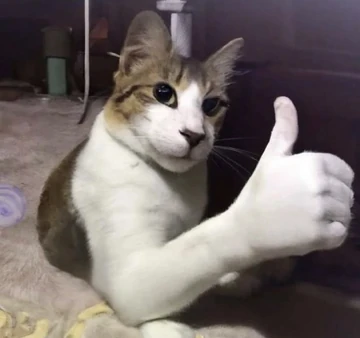 Selamat!